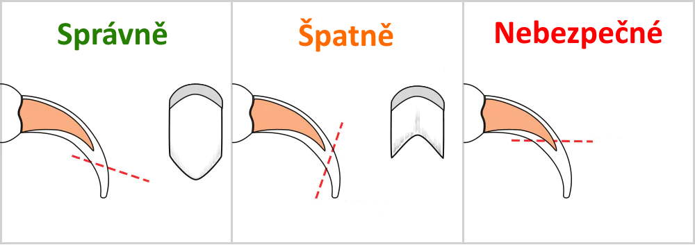 psí drápky ja stříhat