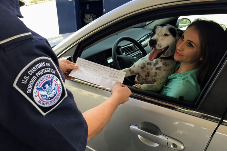 Cestování se psem v zahraničí: Potřebné doklady a očkování